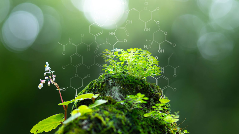 🌱 Nasce BIOSIRCLE®: la nuova generazione di resine sostenibili firmata SIR Industriale